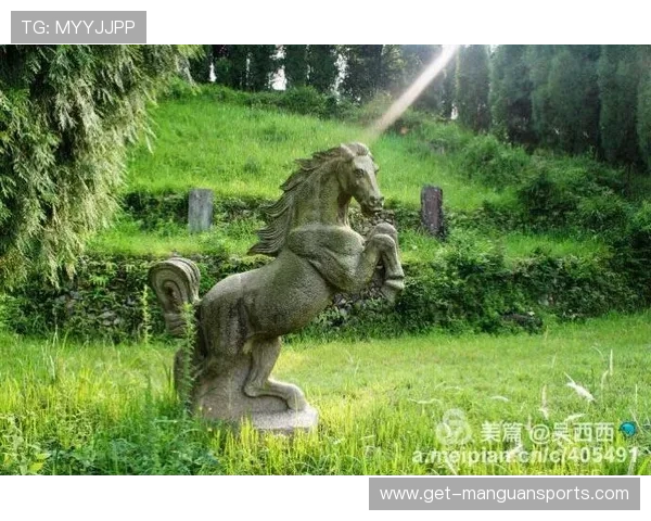 绿狼之魂：沃尔夫斯堡球迷激情与城市共鸣的独特风景